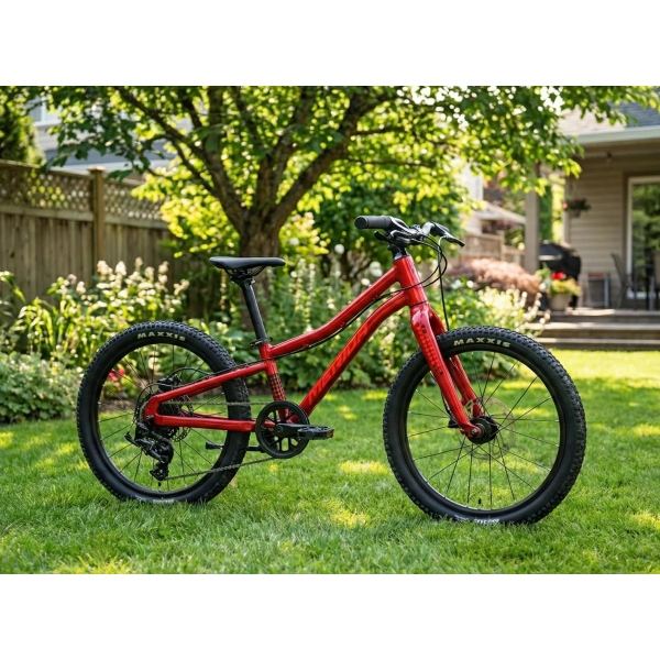 Велосипед MERIDA Matts J.20+ Dark Strawberry - UNI (10) - фото 2