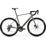 Велосипед MERIDA Scultura Endurance RIVAL EDITION Warm Slate Grey - XL