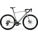 Велосипед MERIDA Scultura Endurance RIVAL EDITION Silk Grey - S