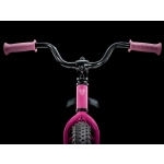 Велосипед TREK Precaliber 12