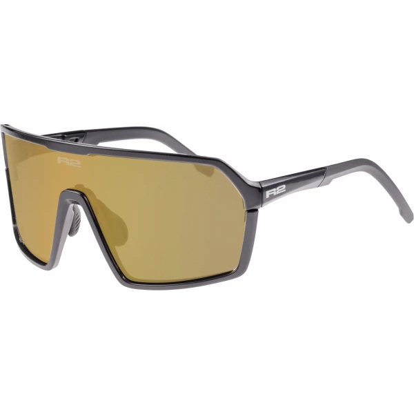Окуляри фотохромні R2 Factor Black - Brown (Cat 2-3)